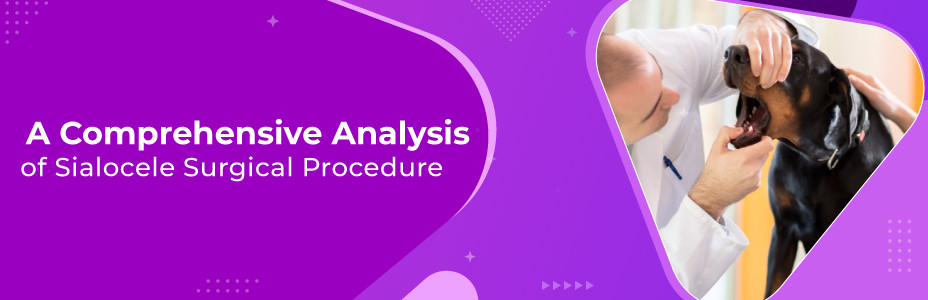 A Comprehensive Analysis Of Sialocele Surgical Procedure