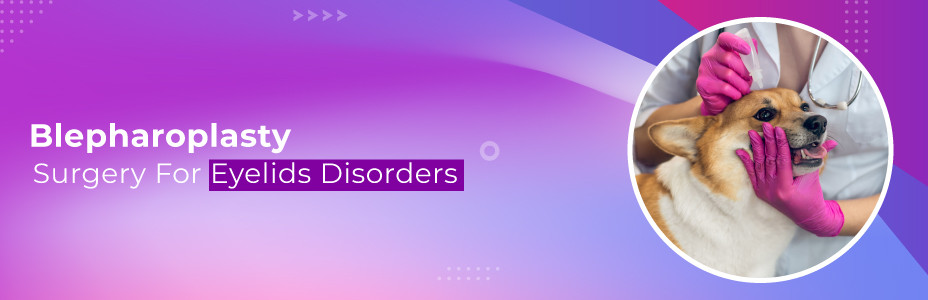 Blepharoplasty Surgery For Eyelids Disorders