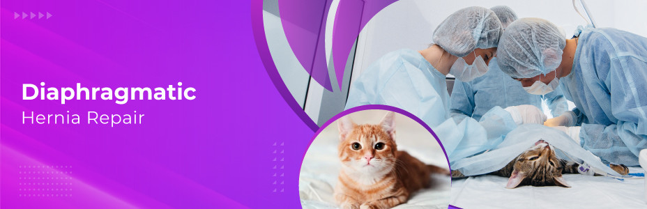 Diaphragmatic Hernia Repair