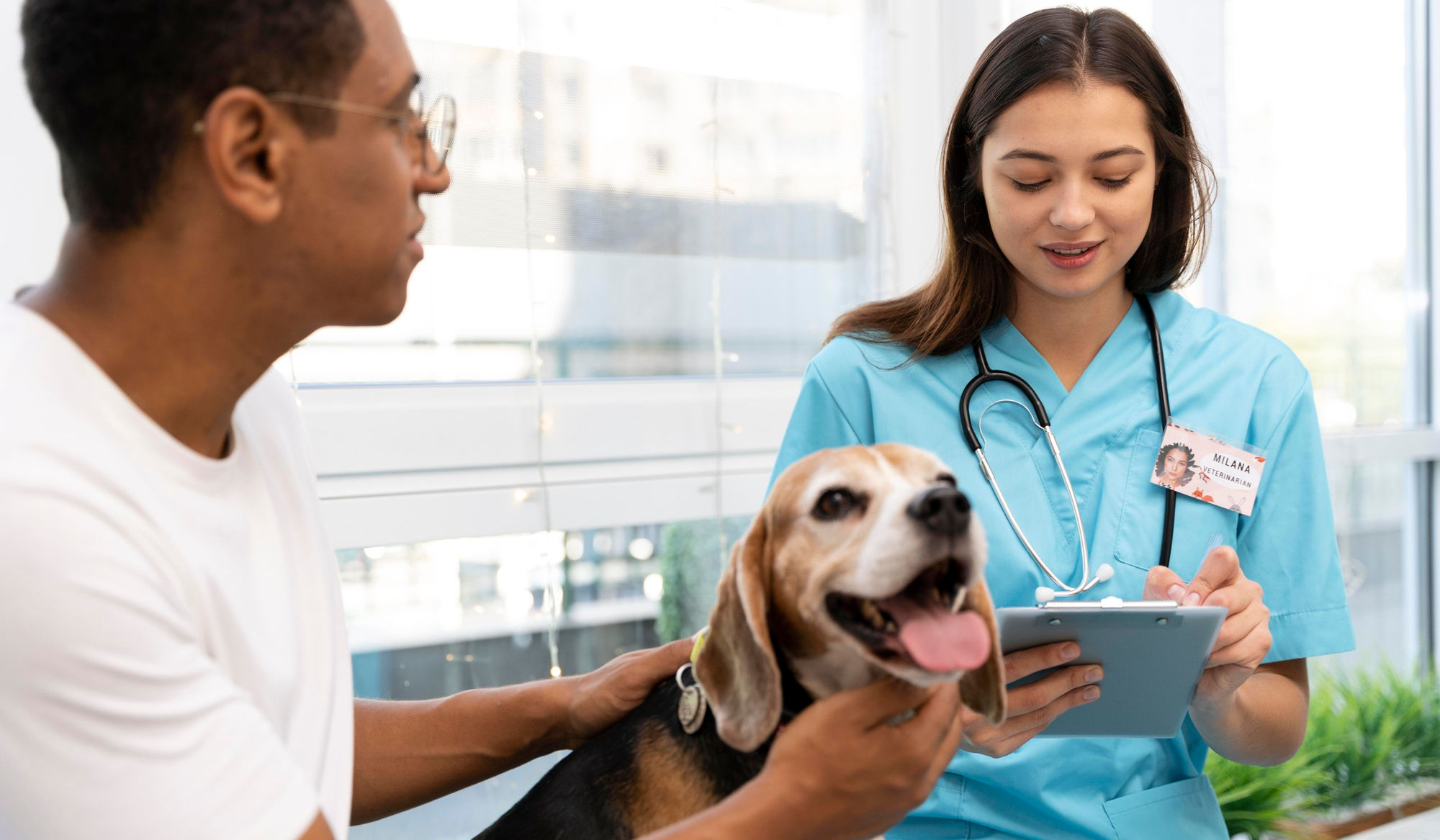 vet tech on daily tasks examining a dog