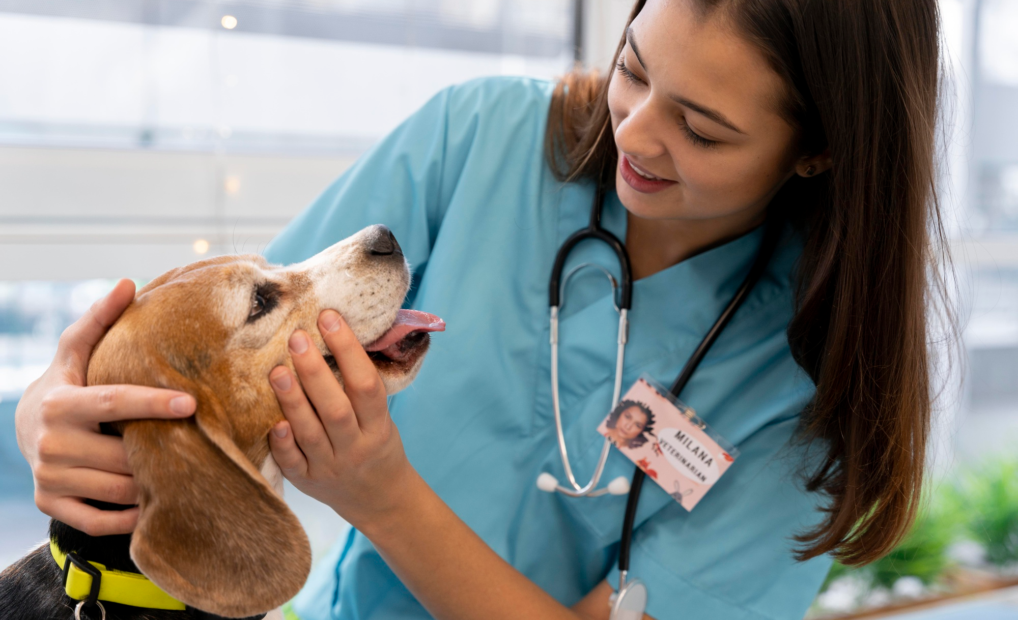 veterinary nuse with a dog at clinic