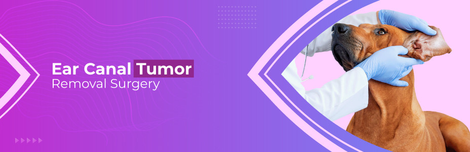 Ear Canal Tumor Removal Surgery