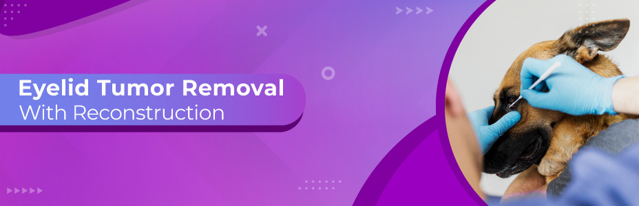 Eyelid Tumor Removal With Reconstruction