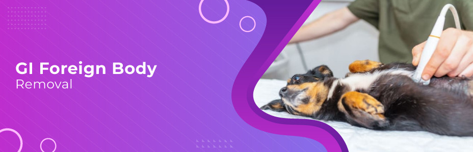 GI Foreign Body Removal