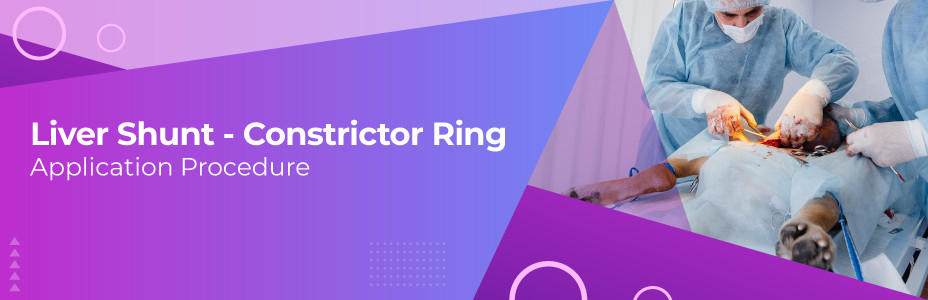 Liver Shunt - Constrictor Ring Application Procedure