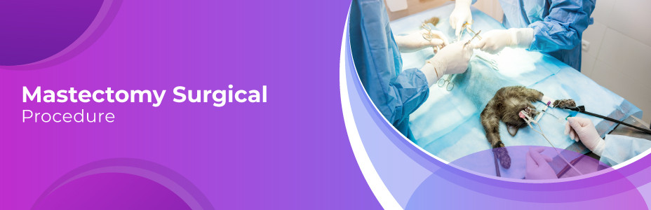 Mastectomy surgical procedure