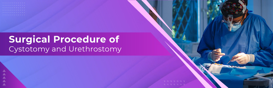 Surgical procedure of cystotomy and Urethrostomy