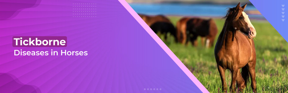 Tickborne Diseases in Horses