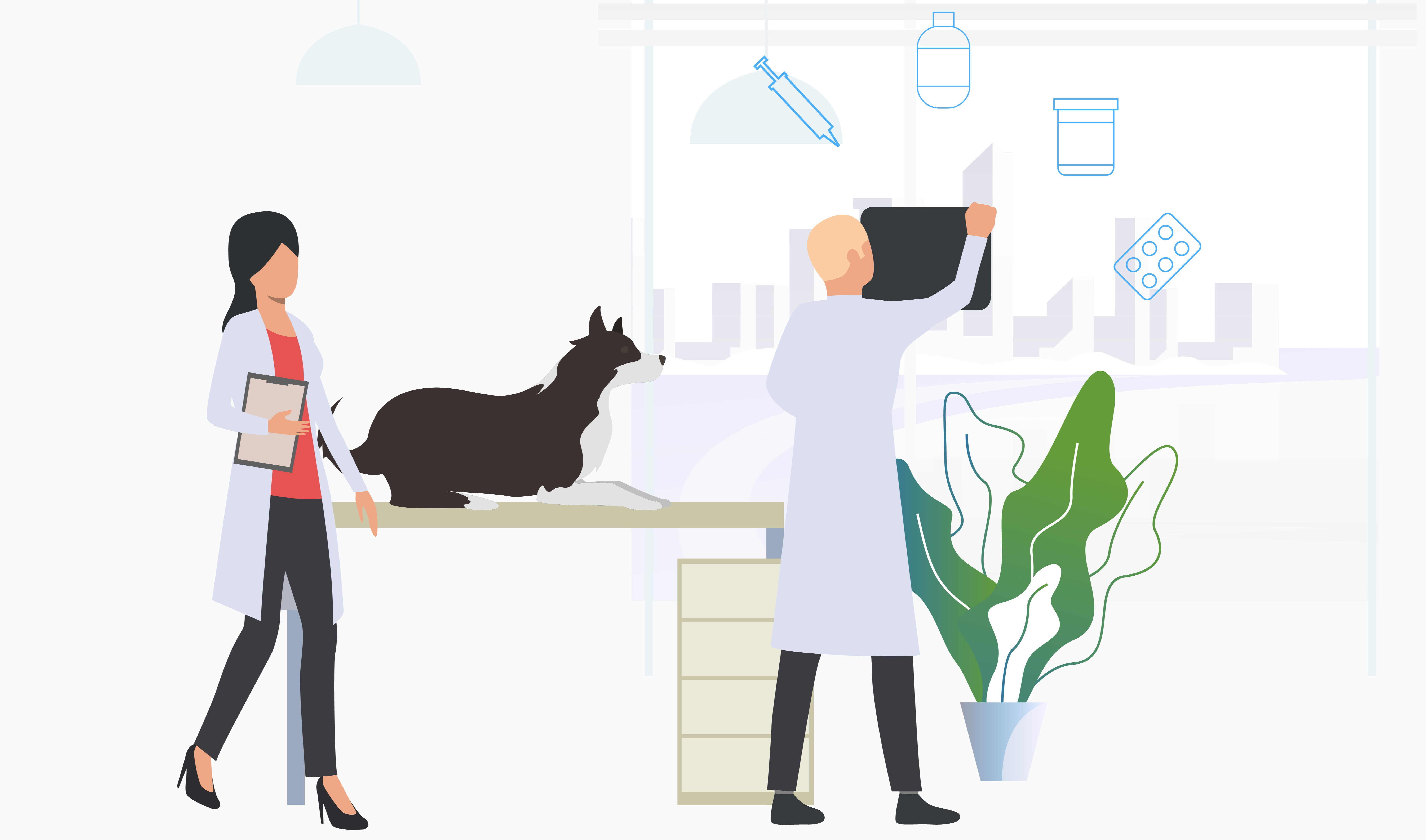 veterinarians examing a dog at veterinary clinic - vmd vs dvm