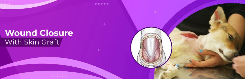 Wound Closure with Skin Graft