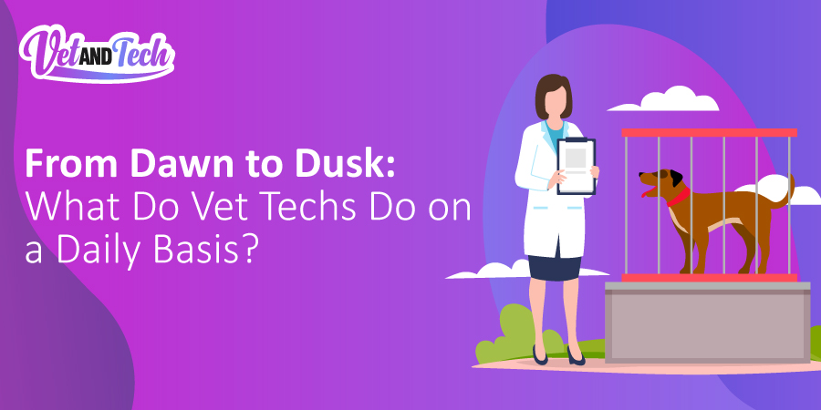 Vet Slacking From Dawn to Dusk: What Do Vet Techs Do on a Daily Basis?