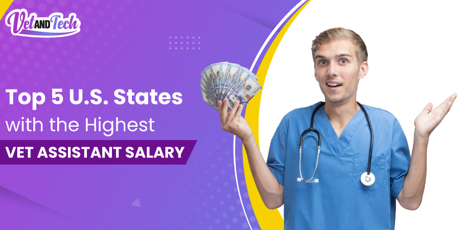 How Much Do Vet Techs Make in California: Ultimate Salary Guide 2025