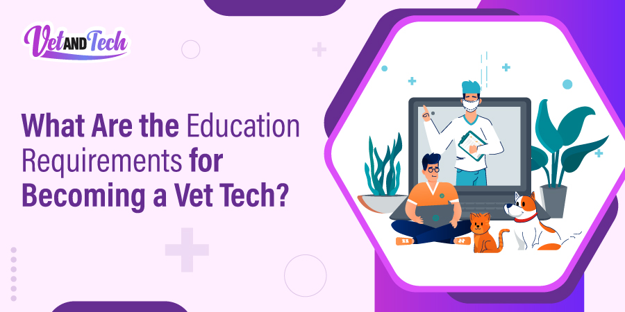 Do You Need a Degree to Be a Vet Tech: Essential Facts Revealed