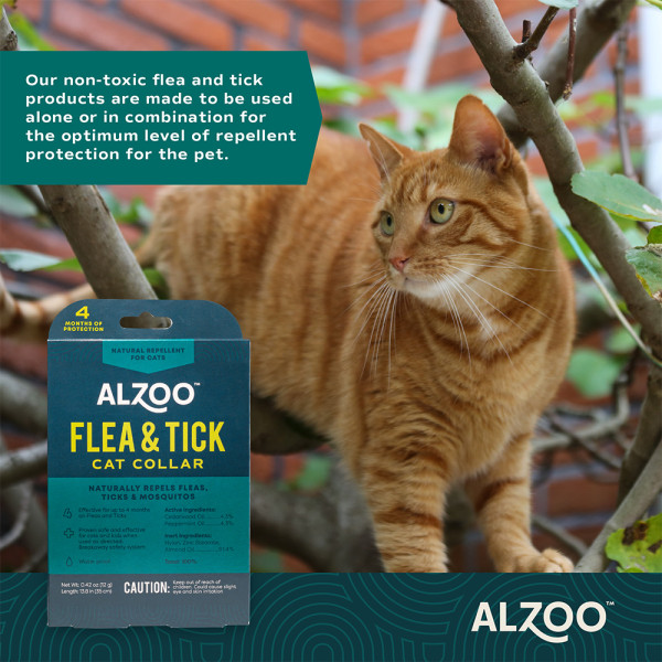 132910-plant-based-flea-tick-cat-collar-1757083628-.jpg