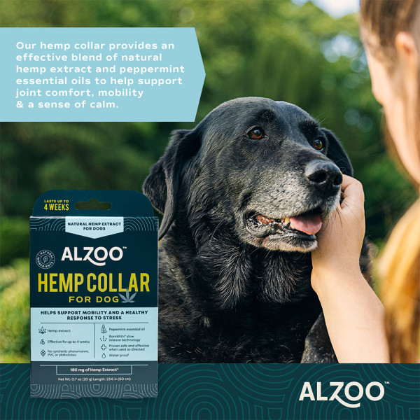 234567-plant-based-hemp-premium-mobilitycalming-collar-for-dogs-1757333641-.jpg