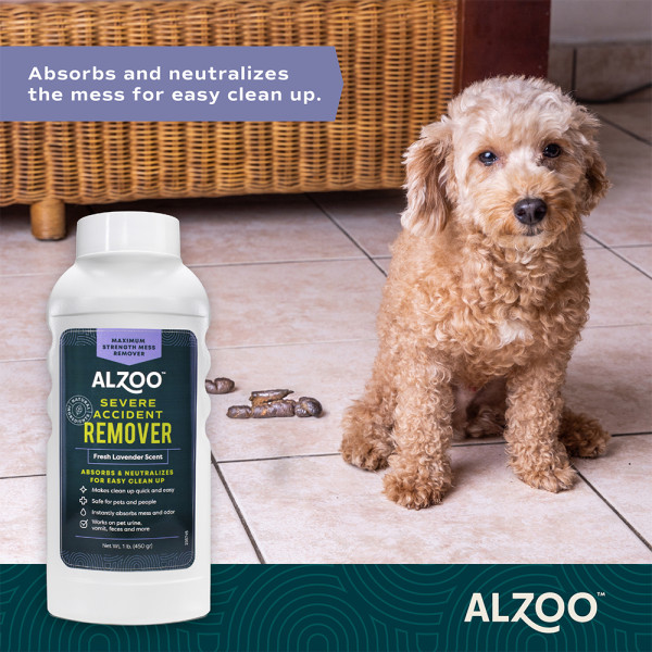 255737-mineral-based-severe-accident-remover-absorbent-deodorizer-lavender-152oz-1757338630-.jpg