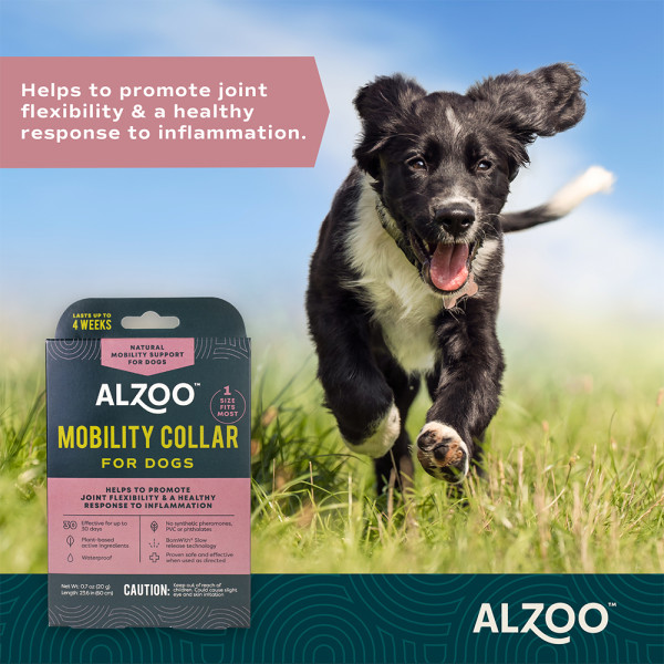 706317-plant-based-mobility-collar-for-dogs-1757333795-.jpg
