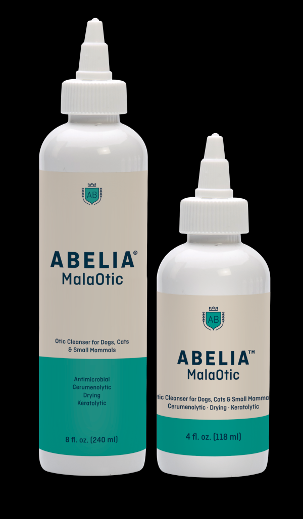 abelia-malaotic-with-accureasy-syringe-abelia-malaotic-4-8-oz-1776951983.png