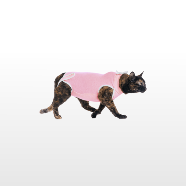 cat-suit-pink-cat-suit-pink-1755593930-.png