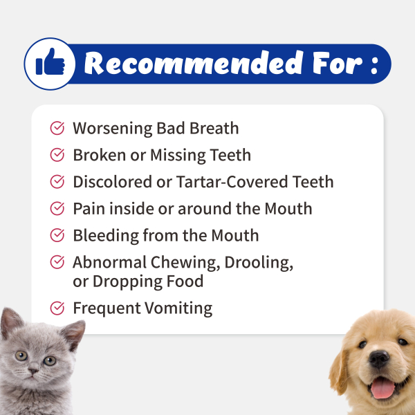 dental-tummy-toothpaste-rinse-for-cats-and-dogs-110ml-16-2-1770335214.jpg