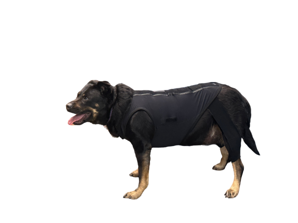 dynamic-mobility-support-set-3xl-pit-rottie-mix-1767030296.png