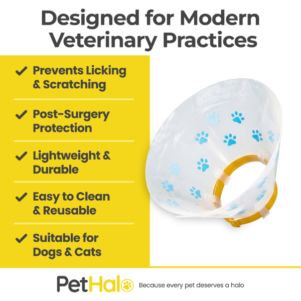 elizabethan-recovery-collar-2-1783454915.png
