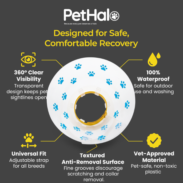 elizabethan-recovery-collar-4-1783454915.png