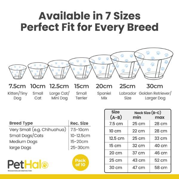 elizabethan-recovery-collar-5-1783454915.png