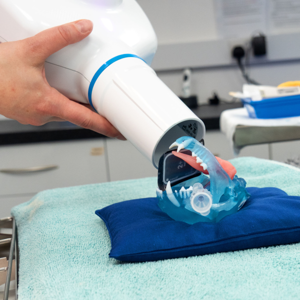 gaia-simulation-kit-domino-feline-model-dental-xray-generator-copy-1784292999.jpg