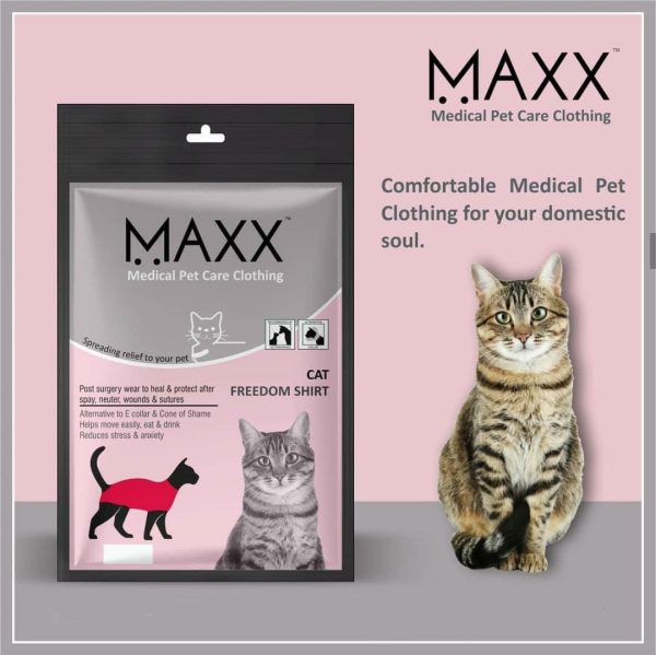 maxx-cat-recovery-suit-0a9a10b6-c647-4878-a049-24aa768cc623-1782372257.jpg