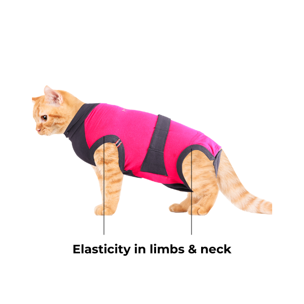 maxx-cat-recovery-suit-3-60a19426-7aec-4dac-ae94-343ae3d1a5b6-1782372256.png