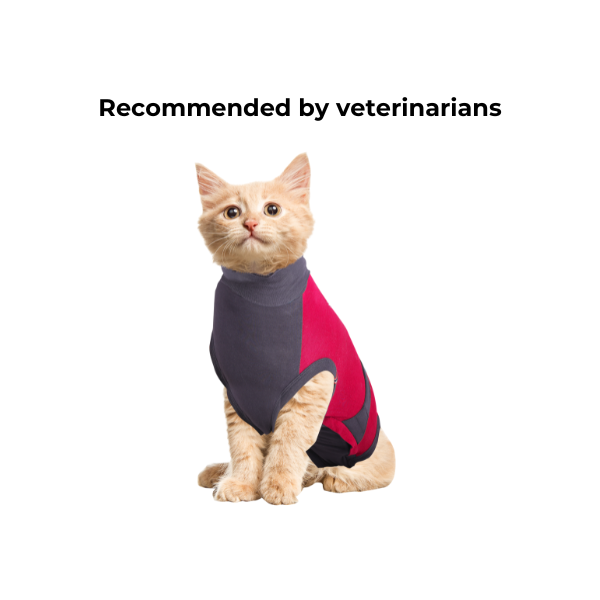 maxx-cat-recovery-suit-5-c75252c2-9986-4a9d-b52e-6e154825beba-1782372256.png