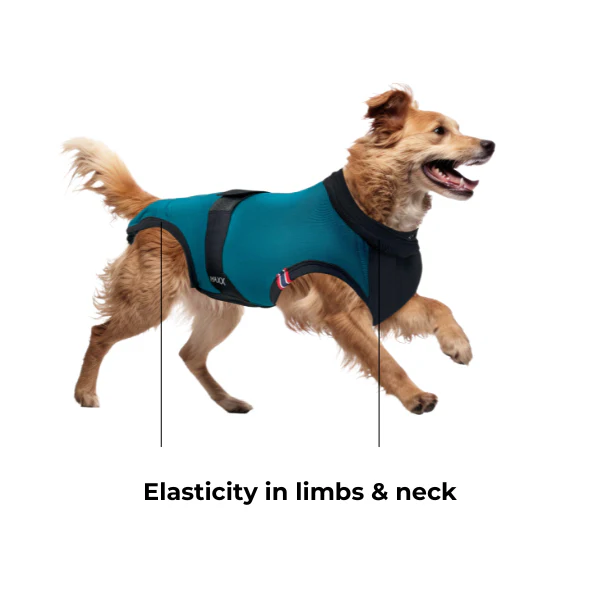 maxx-dog-recovery-suit-premium-2-3727b97e-f10b-40ff-9c1a-17267b0deb11-1782195218.png