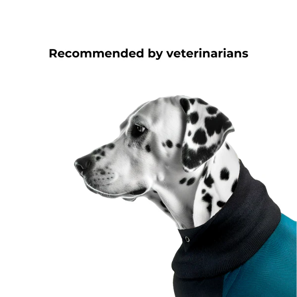 maxx-dog-recovery-suit-premium-3-5e1400ce-25be-4005-b127-fc12ab49a298-1782195218.png