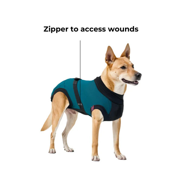 maxx-dog-recovery-suit-premium-4-7ccf1f19-e8e8-4ff2-9d3c-ec7b9e770377-1782195218.png