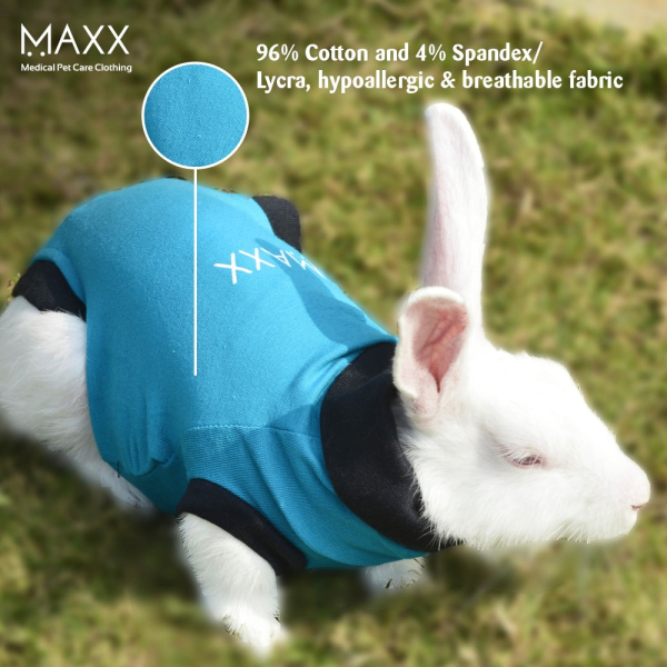 maxx-rabbit-recovery-suit-img-5718-1782372259.jpg