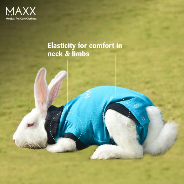maxx-rabbit-recovery-suit-img-5719-1782372260.jpg