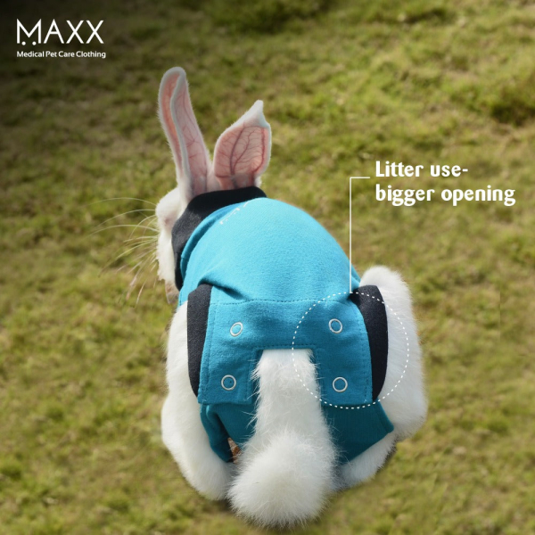 maxx-rabbit-recovery-suit-img-5720-1782372259.jpg