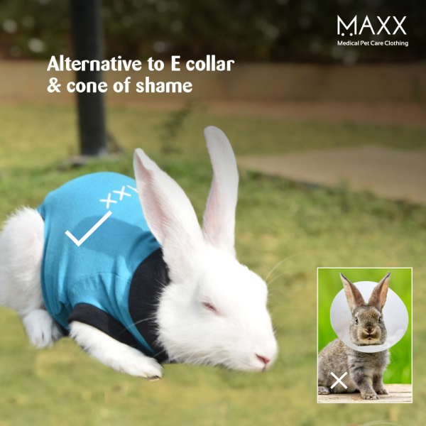 maxx-rabbit-recovery-suit-img-5721-1782372258.jpg