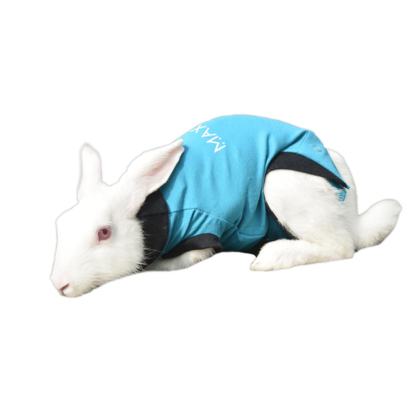 maxx-rabbit-recovery-suit-img-5808-1782372258.jpg