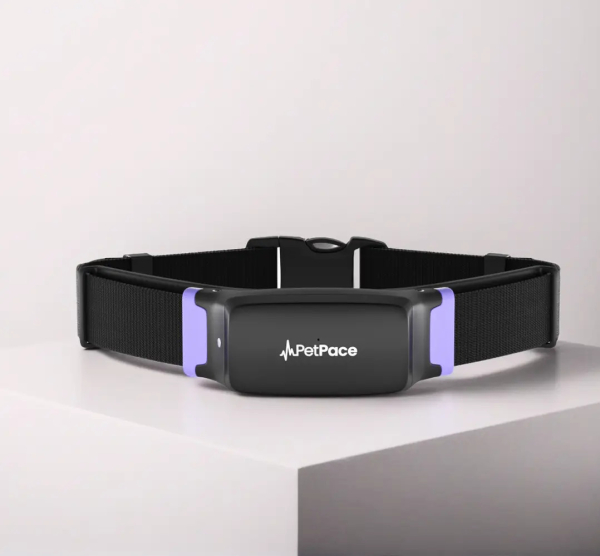 petpace-health-monitoring-collar-and-veterinarian-platform-01-1-1781018430.jpg