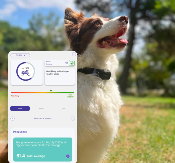 petpace-health-monitoring-collar-and-veterinarian-platform-04-1-1781018431.jpg