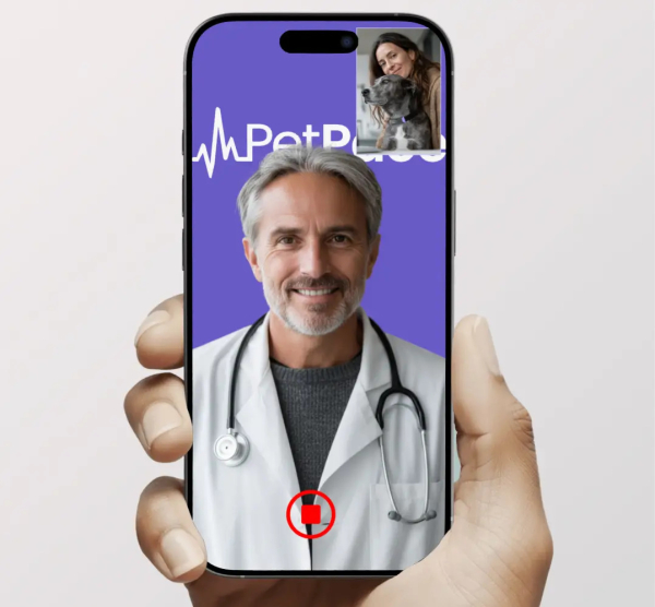 petpace-health-monitoring-collar-and-veterinarian-platform-07-1-1781018431.jpg