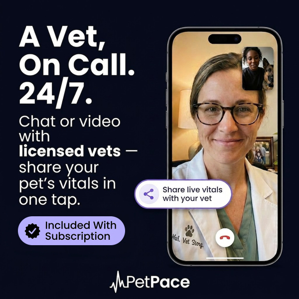 petpace-health-monitoring-collar-and-veterinarian-platform-marketing-image-03-1786524848.jpg