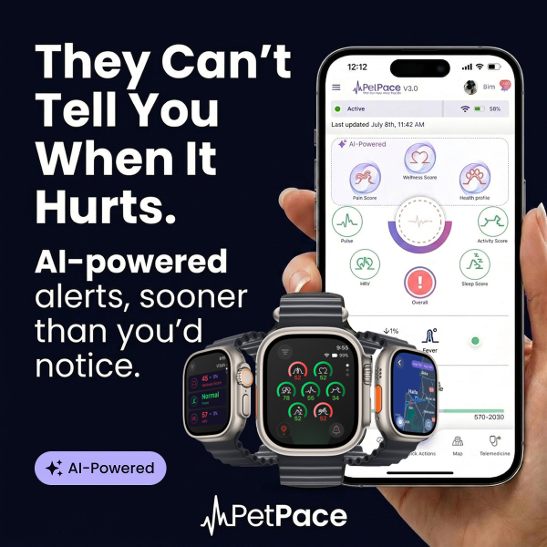 petpace-health-monitoring-collar-and-veterinarian-platform-marketing-image-04-1786524848.jpg