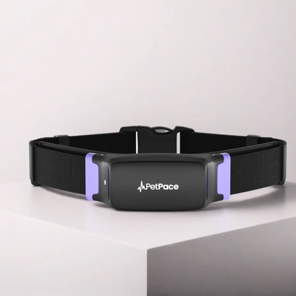 petpace-health-monitoring-collar-and-veterinarian-platform-med-collar-1786524848.jpg