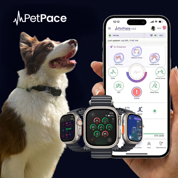 petpace-health-monitoring-collar-and-veterinarian-platform-med-dog-petpace-01-1786524848.jpg