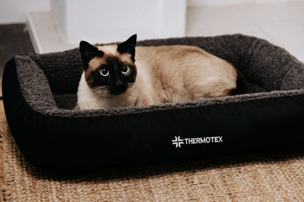 thermotex-far-infrared-heating-pet-bed-meaghan-baxter-photography-thermotex-31-websize-1774992910.jpg