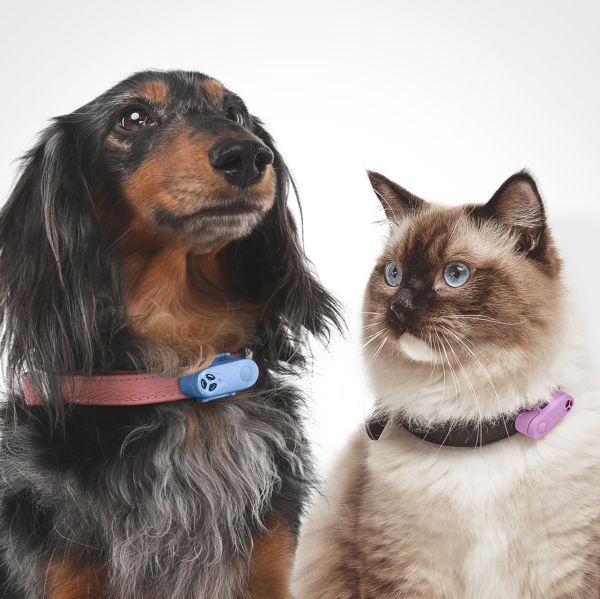 tickless-mini-ultrasonic-tick-and-flea-device-rechargeable-mini-cat-and-dog-1761035910.jpg
