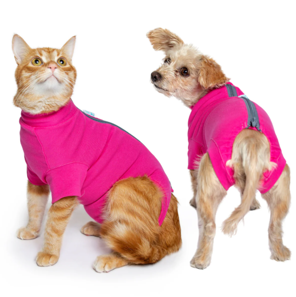 vetmedwear-recovery-suit-after-surgery-pet-clothing-for-wound-protection-female-dog-all-cats-rabits-vetmedwear-recovery-suit-after-surgery-pet-clothing-for-wound-protection-1783626906.png